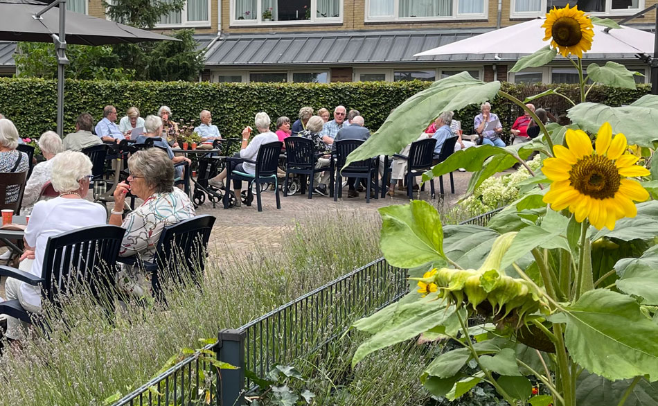 Jaarlijkse BasBEL Barbeque Bij Johanneshove Buiten
