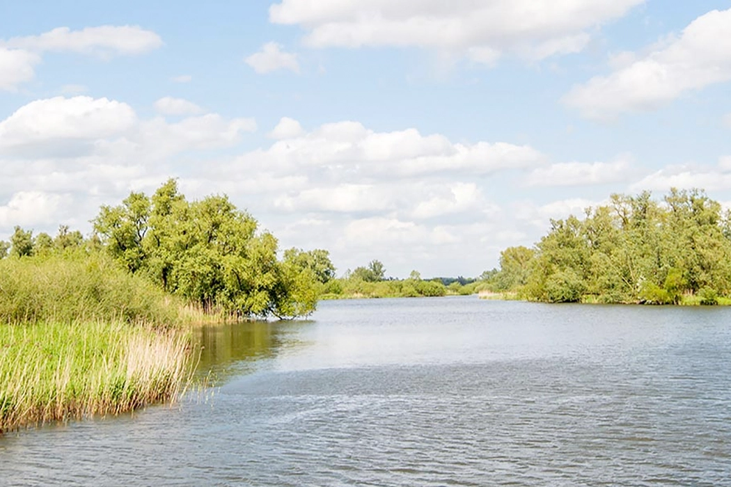 Boottocht Nationale Natuurreservaat De Biesbosch! | Woensdag 3 September3