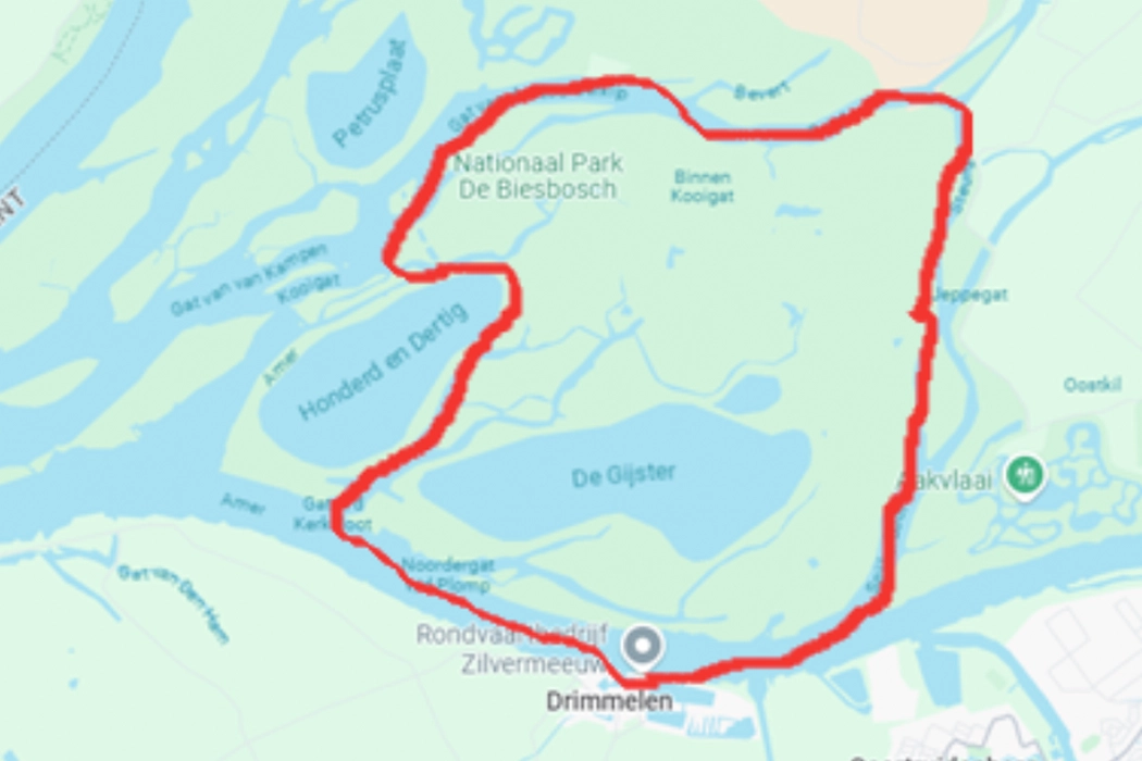 Boottocht Nationale Natuurreservaat De Biesbosch! | Woensdag 3 September4